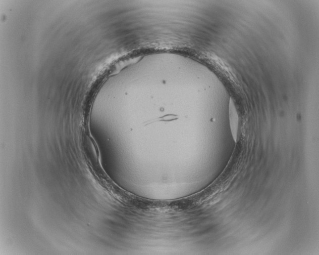 X0000088210540200706051259