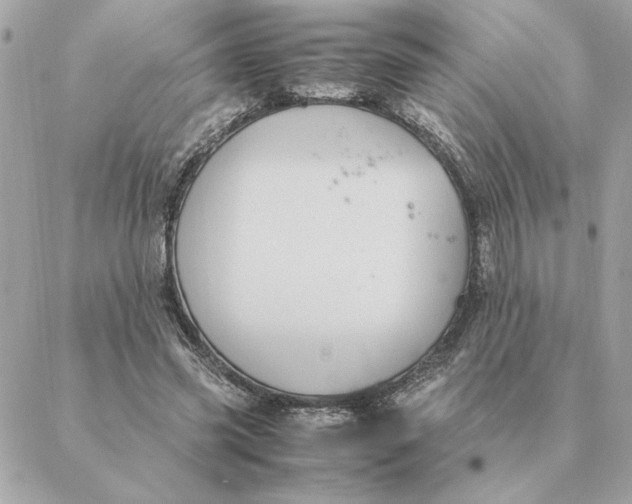 X0000088210541200706051259