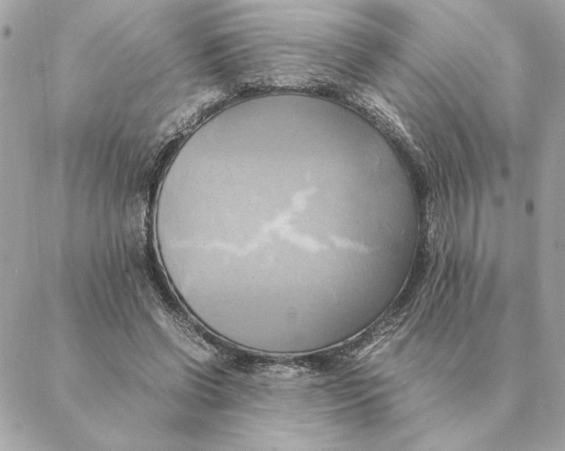 X0000088210542200706051259