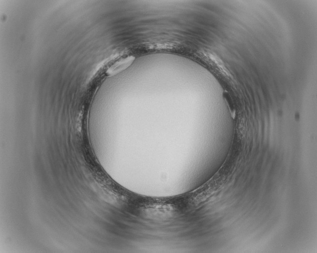 X0000088210543200706051259