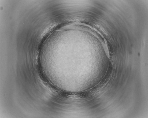 X0000088210544200706051259