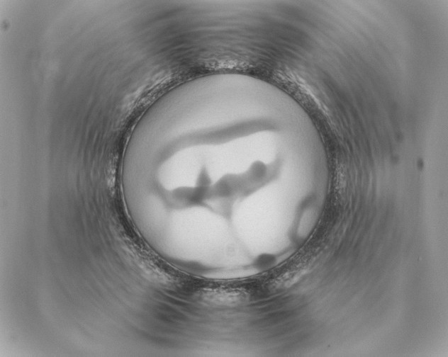 X0000088210545200706051259