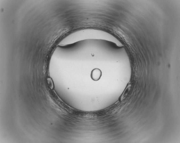 X0000088210546200706051259