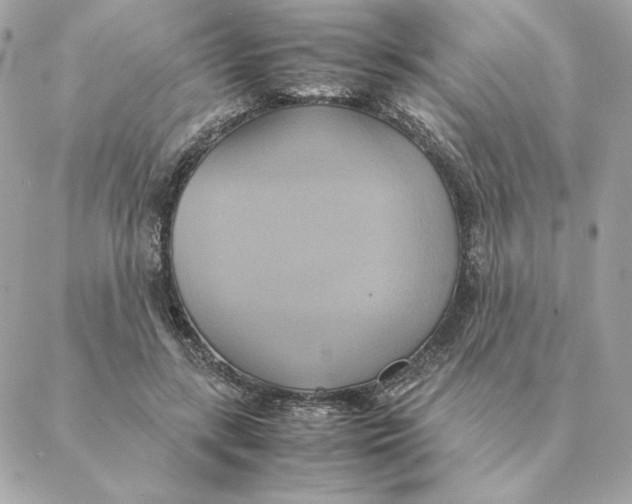 X0000088210547200706051259