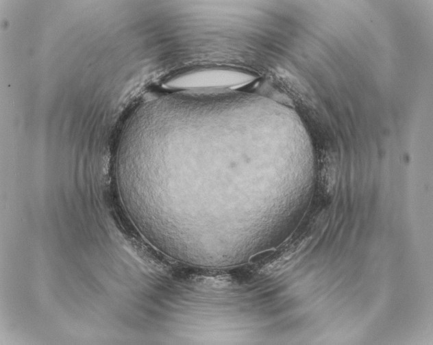 X0000088210548200706051259