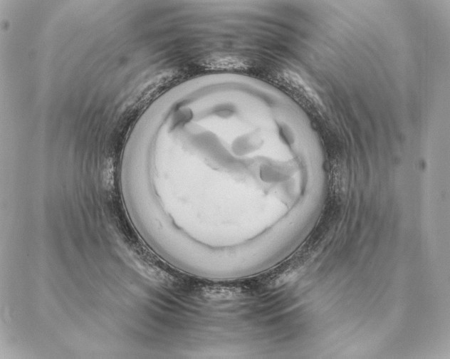 X0000088210549200706051259