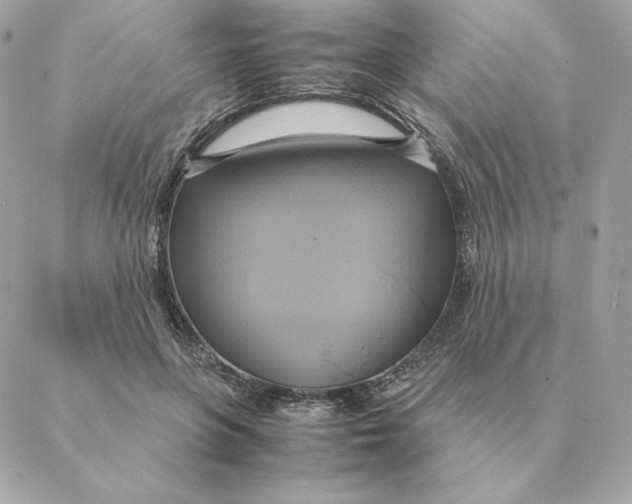 X0000088210551200706051259