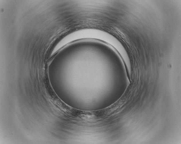 X0000088210552200706051259