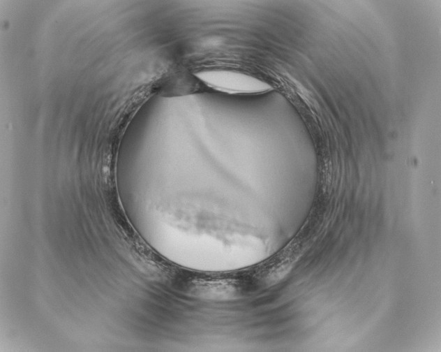 X0000088210553200706051259