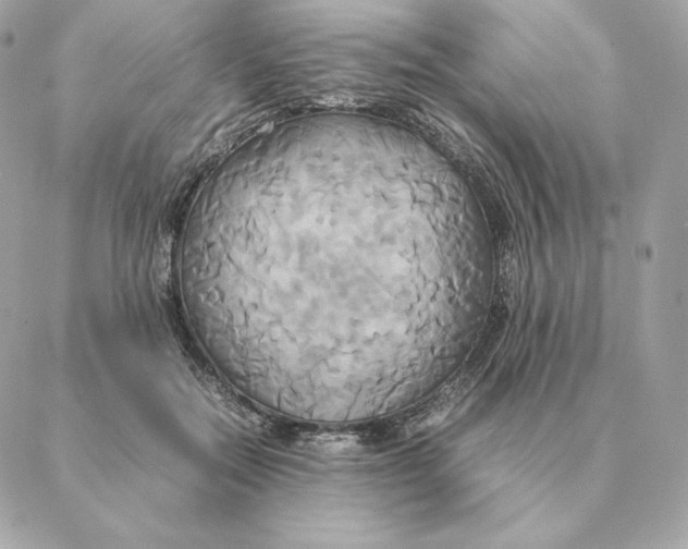 X0000088210554200706051259