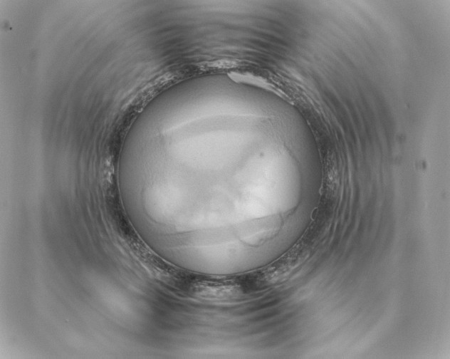 X0000088210555200706051259