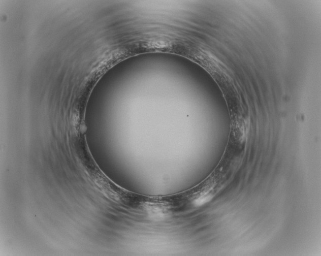 X0000088210556200706051259