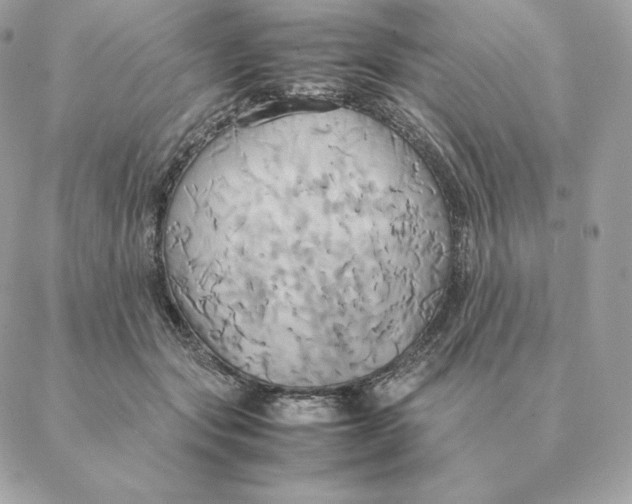 X0000088210557200706051300