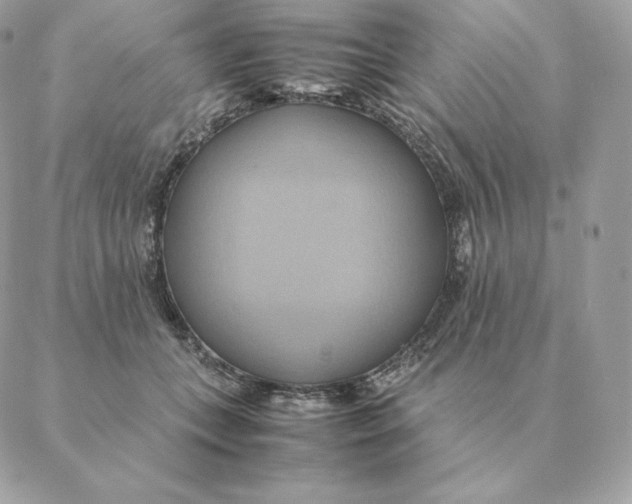 X0000088210559200706051300