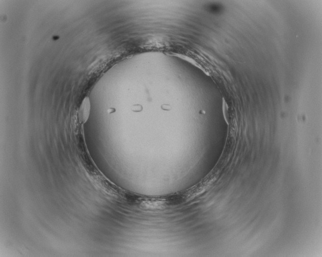 X0000088210560200706051300