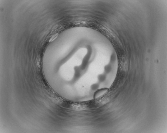 X0000088210561200706051300