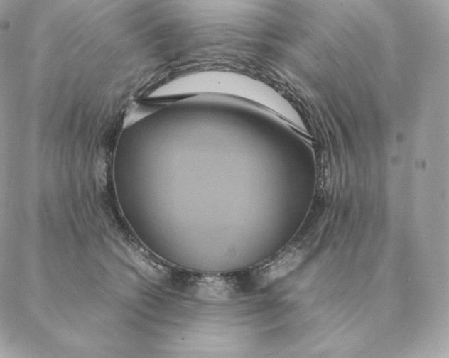 X0000088210562200706051300