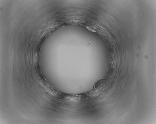 X0000088210563200706051300