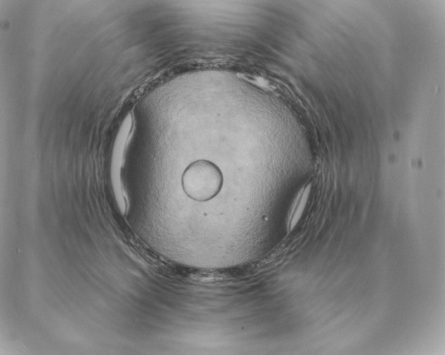 X0000088210564200706051300