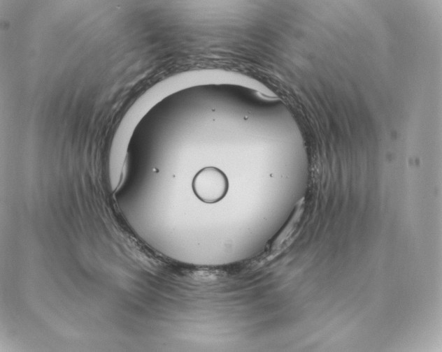 X0000088210566200706051300