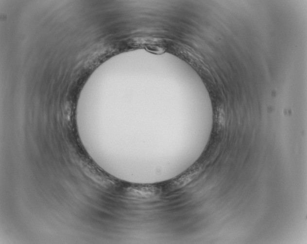 X0000088210567200706051300