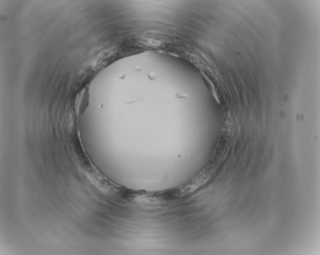 X0000088210568200706051300