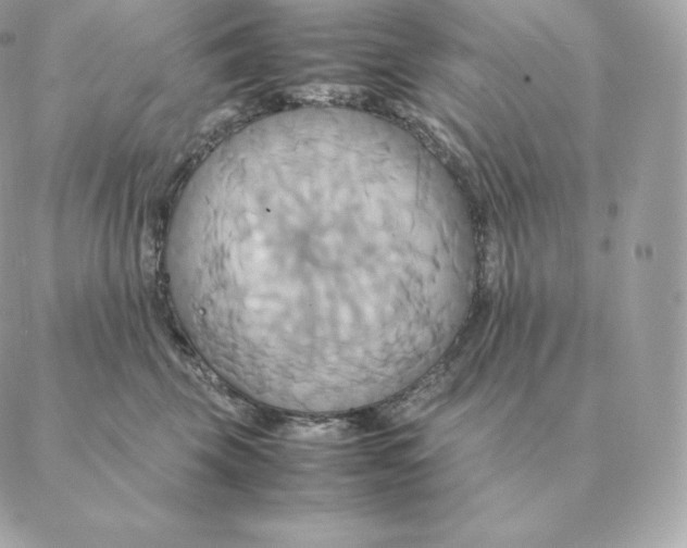 X0000088210569200706051300