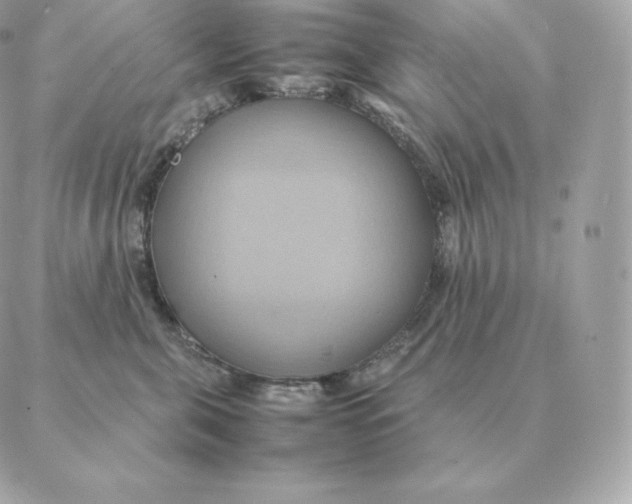 X0000088210571200706051300