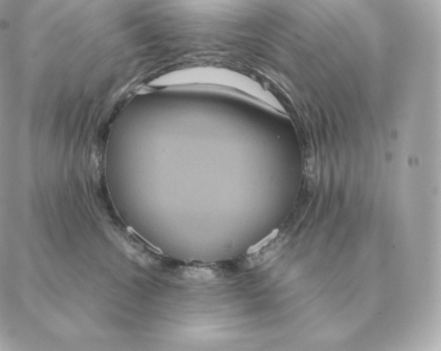 X0000088210572200706051300