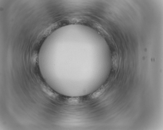 X0000088210574200706051300