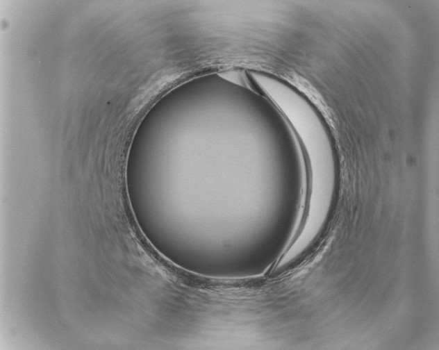 X0000088210577200706051259