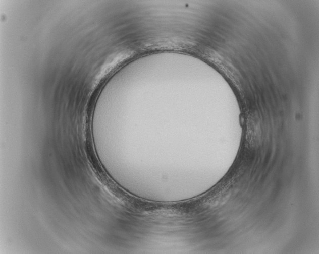 X0000088210578200706051259