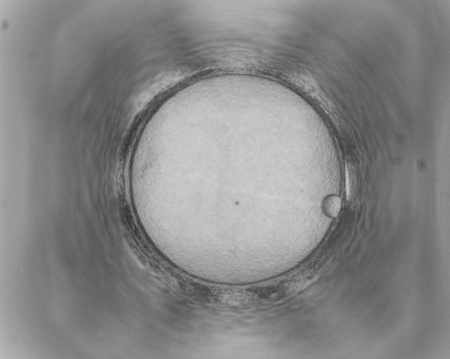 X0000088210579200706051259