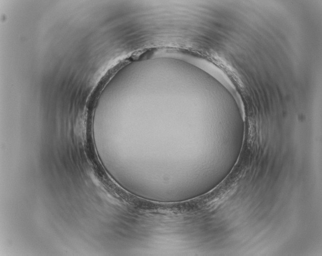 X0000088210580200706051259