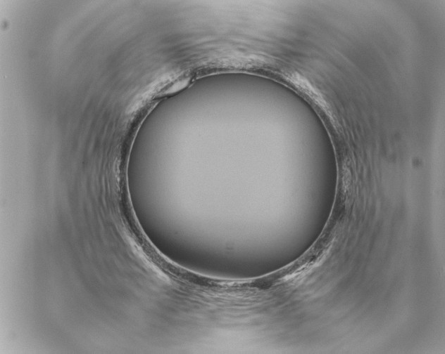 X0000088210581200706051259