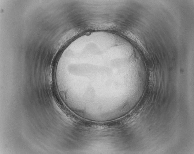 X0000088210582200706051259