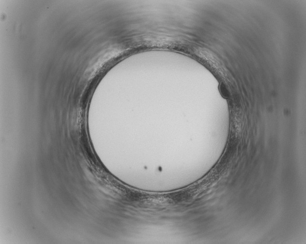 X0000088210583200706051259