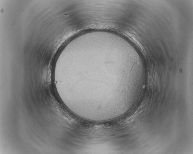 X0000088210584200706051259