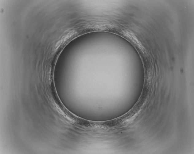 X0000088210585200706051259