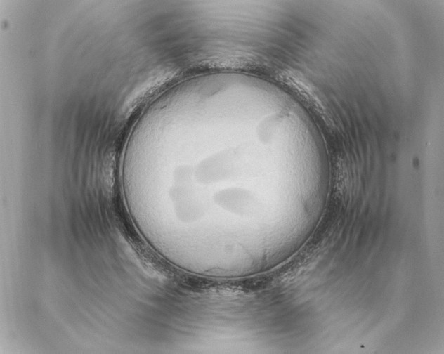 X0000088210586200706051259