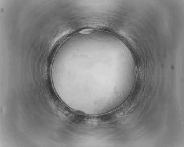 X0000088210587200706051259