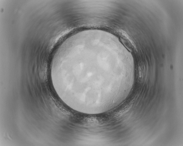 X0000088210588200706051259