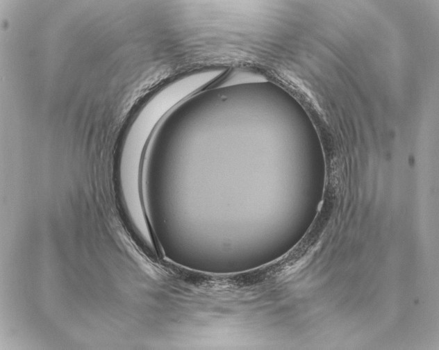 X0000088210589200706051259