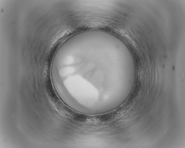 X0000088210591200706051259