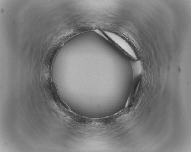 X0000088210593200706051259