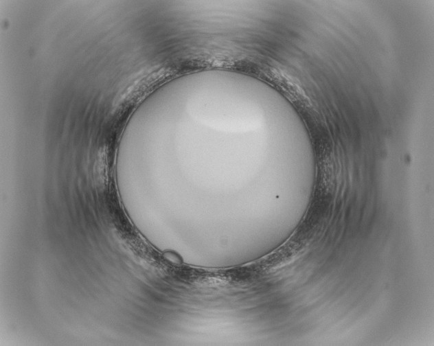 X0000088210594200706051259