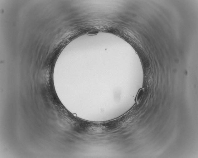 X0000088210595200706051259