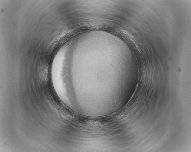 X0000088210596200706051259