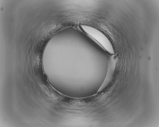 X0000088210597200706051259