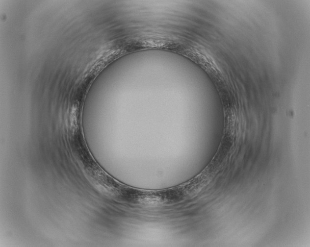 X0000088210598200706051259